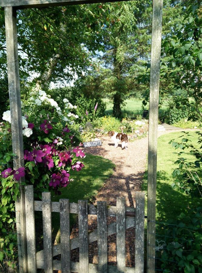 B&B Stateheide Noordbergum Dış mekan fotoğraf